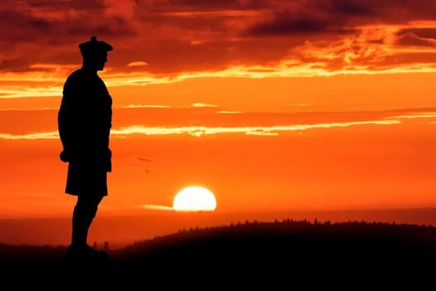 A silhouette of a soldier standing alone in a barren landscape at sunset, with a visible sense of emotional weight and contemplation. The sky is filled with dramatic colors, symbolizing both the beauty and the harsh realities of their experiences.