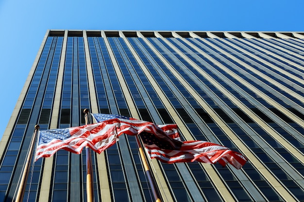US Dollar Strength in 2025: Risks & Opportunities for US Companies